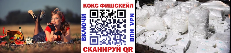 COCAIN Fish Scale  Суджа 