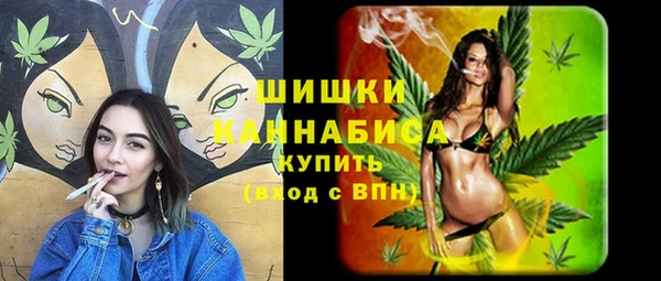 прущие грибы Баксан