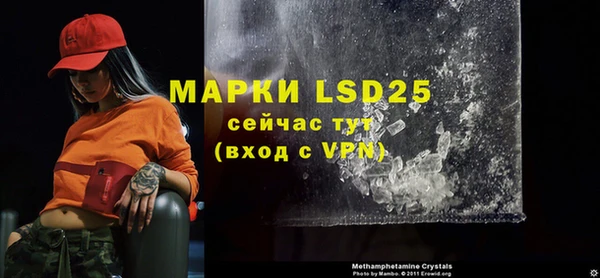 прущие грибы Баксан